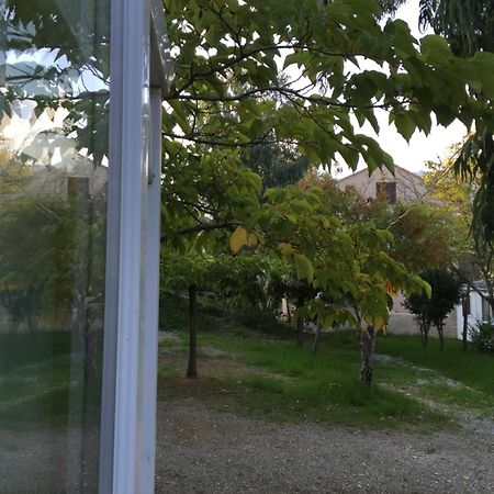 Camping Les Orangers San-Martino-di-Lota Room photo
